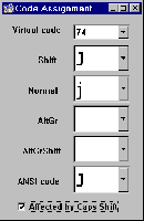 The Code Assignment Window Snapshot