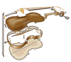 Delovi violine