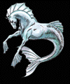 HIPPOCAM.GIF (7227 bytes)